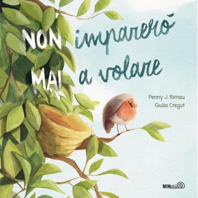 Non imparerâˆšâ‰¤ mai a volare